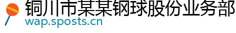 铜川市某某钢球股份业务部